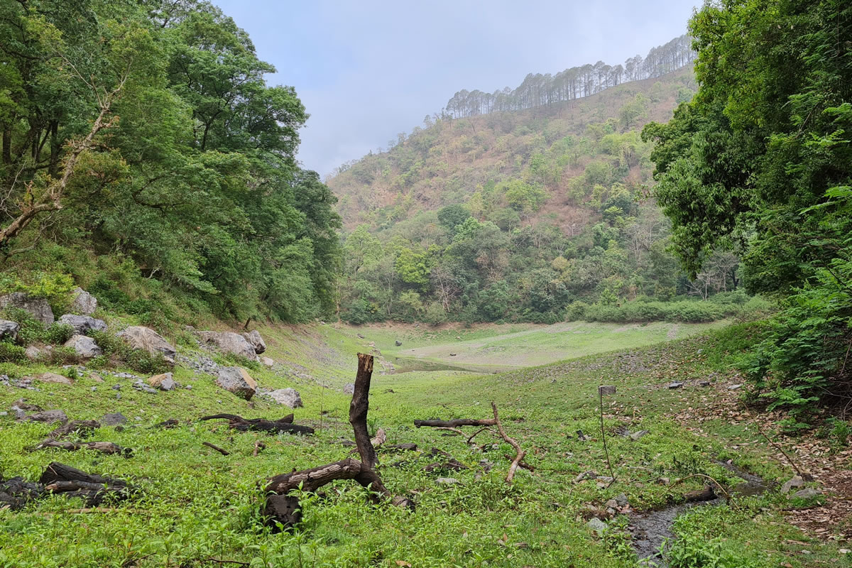nature-walk