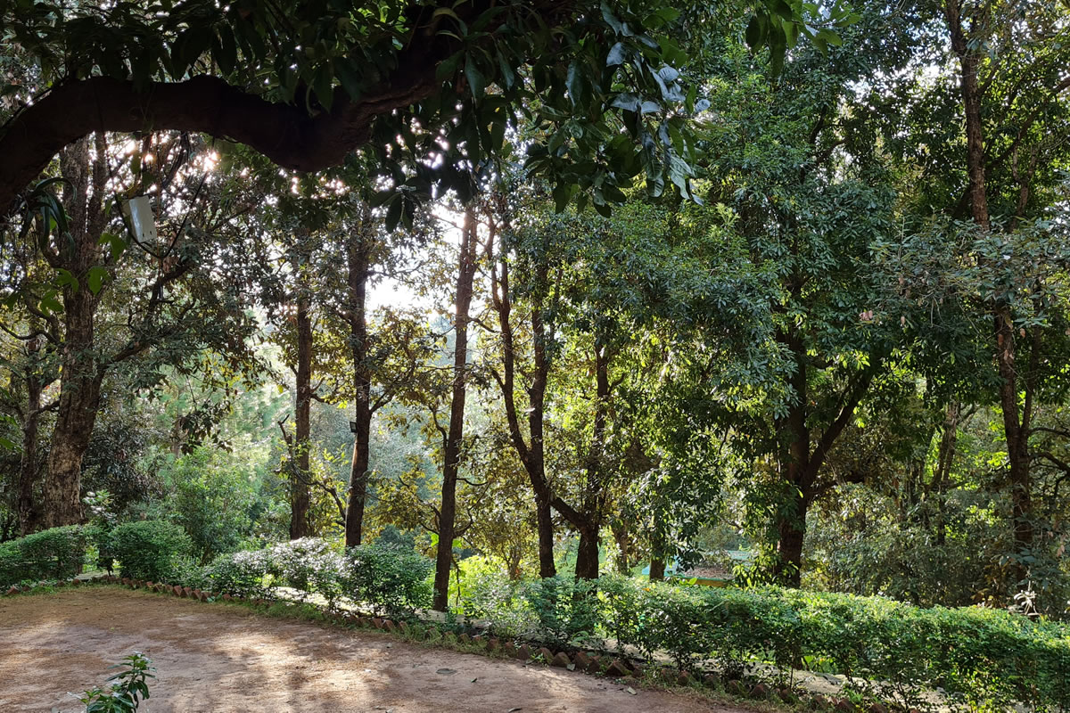 nature-walk-7