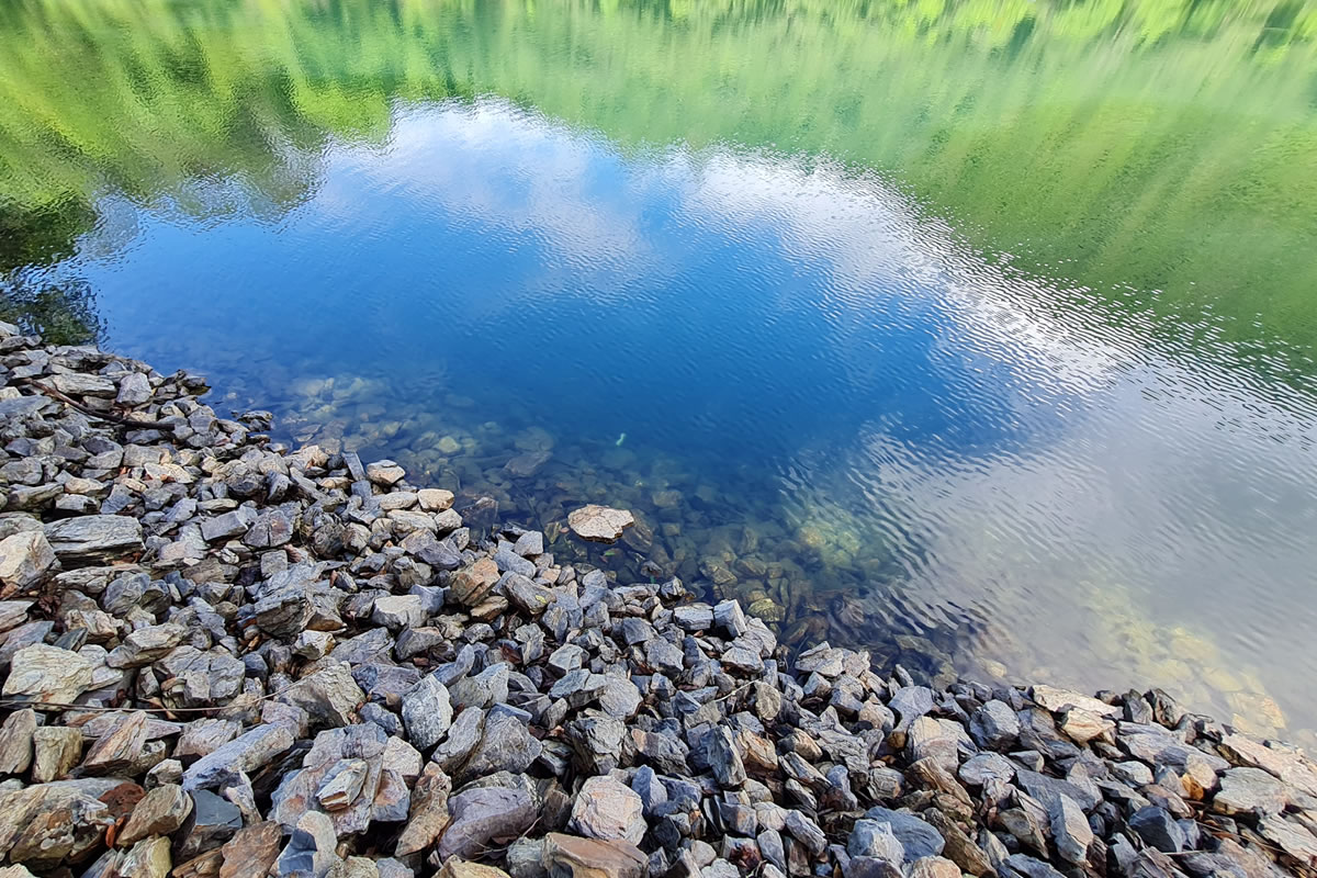 swimming-4
